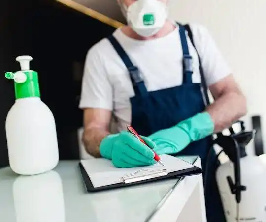pest control Six Points